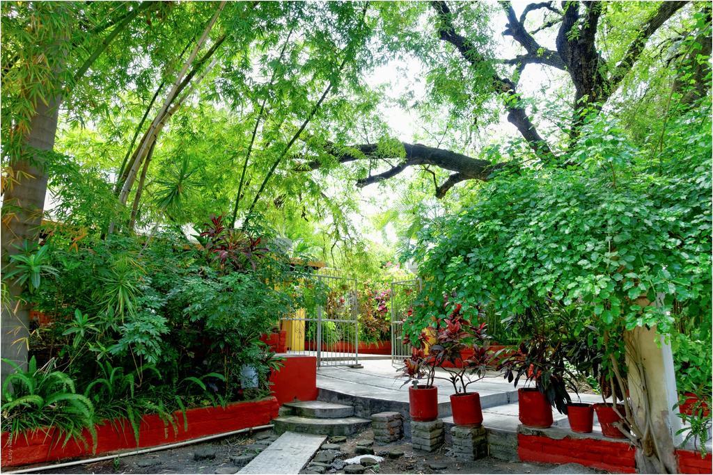 El Molino Hotel Boutique Rio Verde Ngoại thất bức ảnh